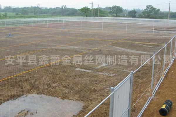 溫室防鳥(niǎo)網(wǎng)