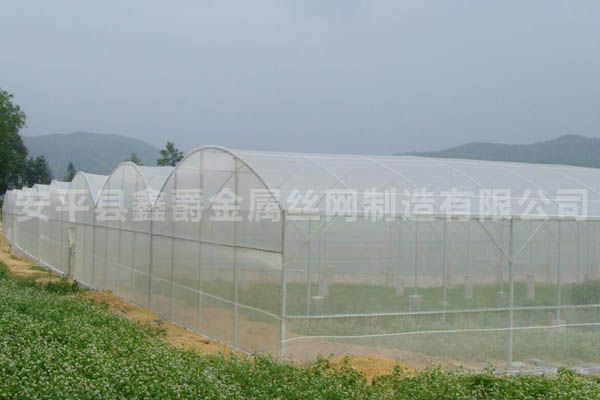 果木防蟲(chóng)網(wǎng)