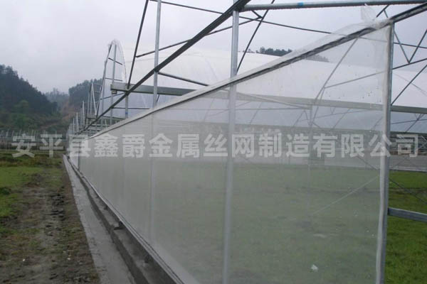 乙烯防蟲(chóng)網(wǎng)