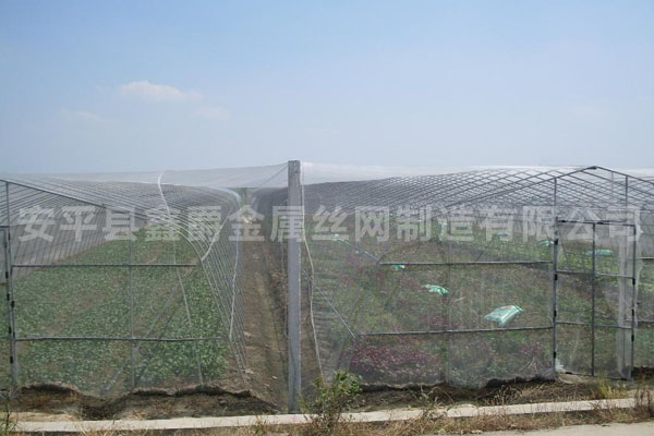 蔬菜大棚防蟲(chóng)網(wǎng)